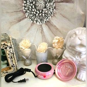 Pink Zebra Pink Iridescent Simmer Pot